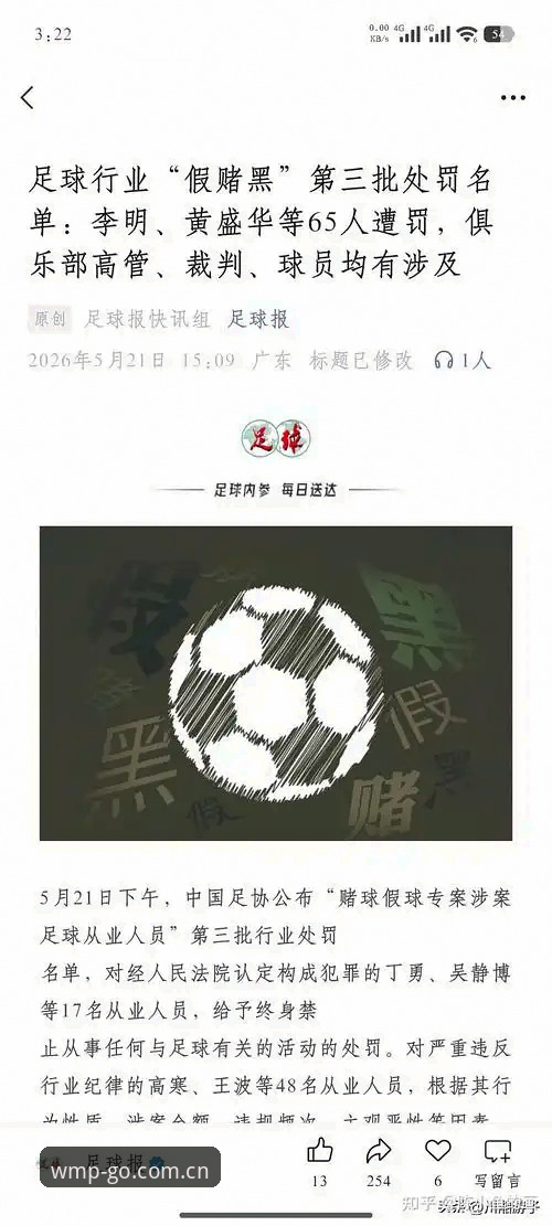 WMP完美体育 足协第三批禁足名单全面解析:17人终身禁赛背后的行业震动与体育精神重塑